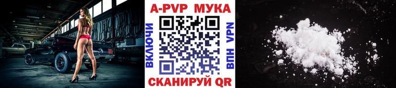 А ПВП СК КРИС Шахты