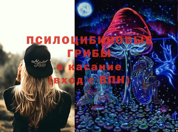 ECSTASY Михайлов