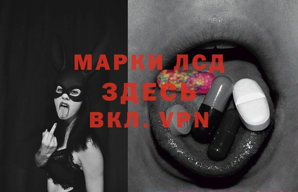 ECSTASY Михайлов